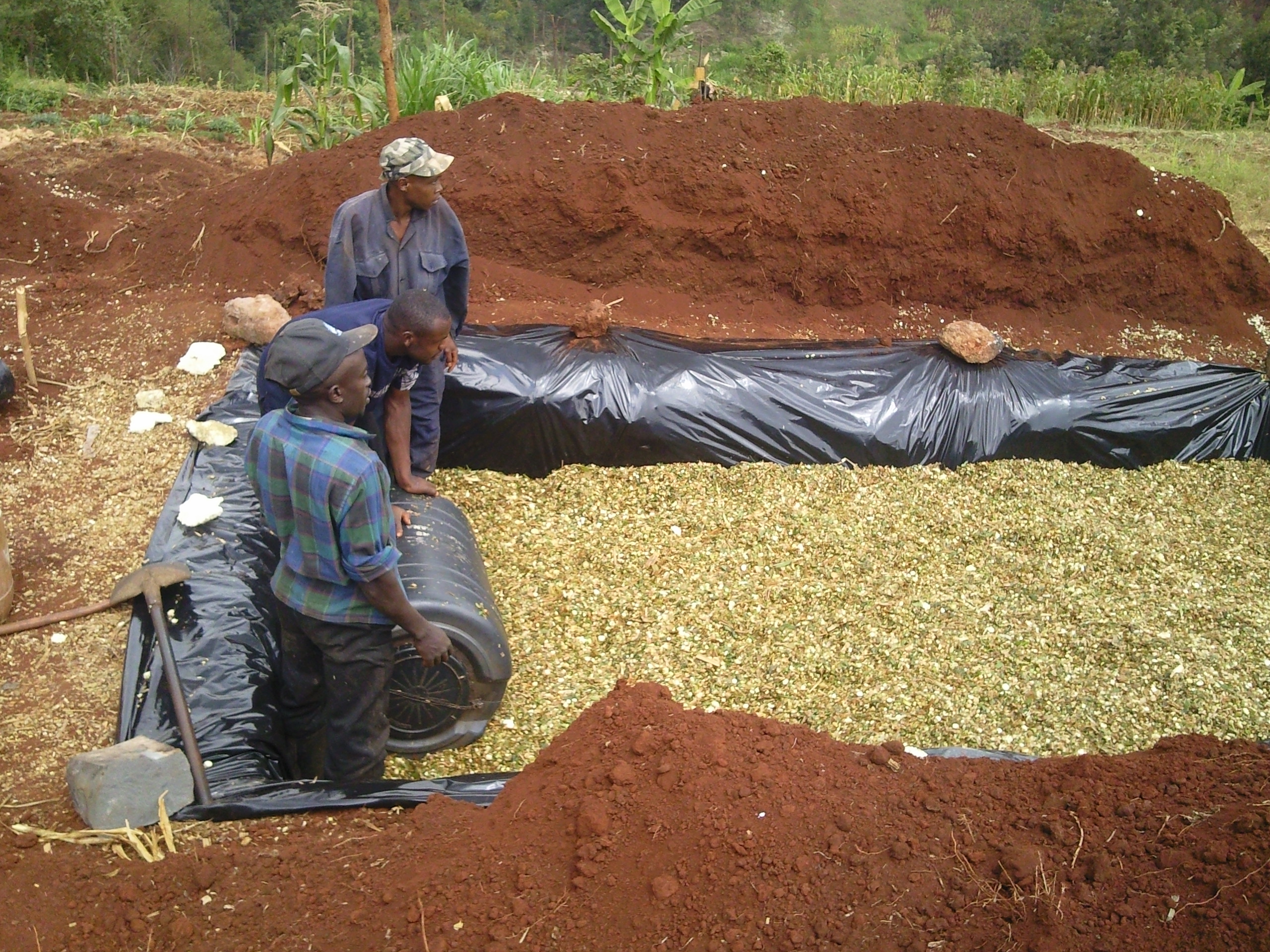 How To Make Silage